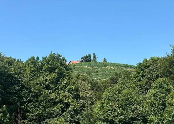 Neuhold كيتسك إيم زاوزال